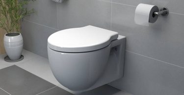 best wall hung toilet