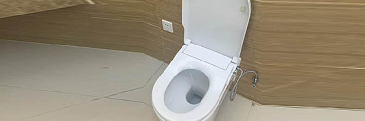 Types of Toilets - European toilet/Western Style Toilet