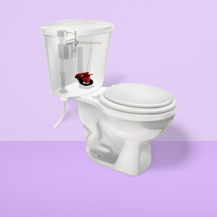 The Flapper Flush Valve Toilet System