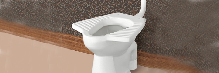Anglo - Indian Type Toilet