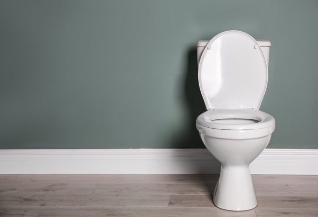 Comfort Height Vs Standard Toilet