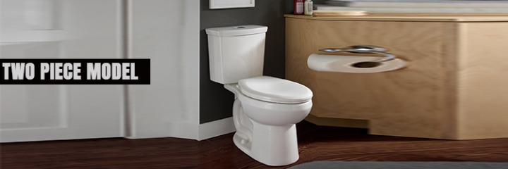 Types of Toilets - Two piece Toilet
