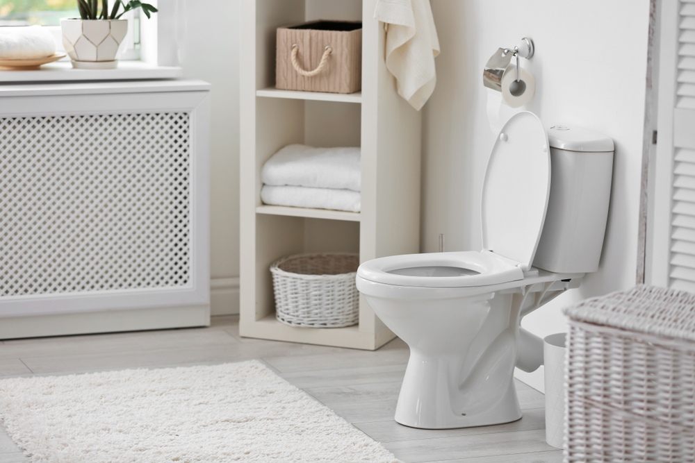 Best Toilets Under 200 Top Picks & Reviews