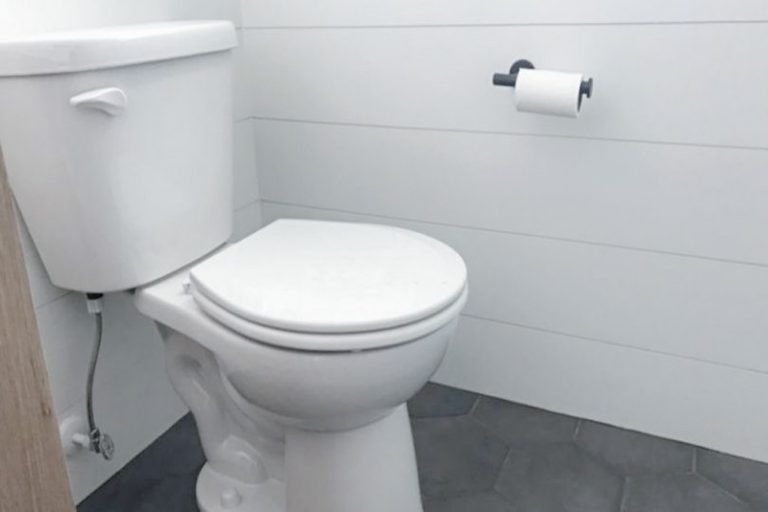9 Different Types of Toilet Flush Systems ToiletsGuide