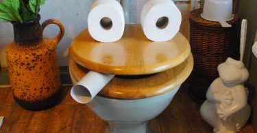 how to clean a wooden toilet seat
