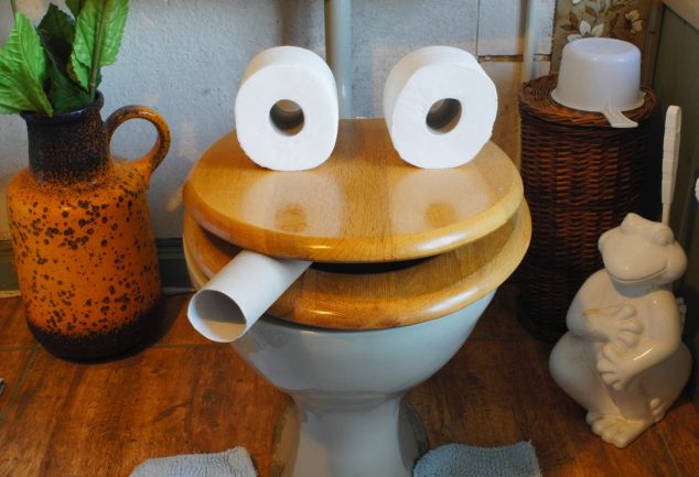 how to clean a wooden toilet seat