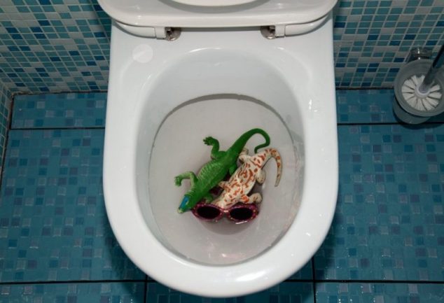 How to Get a Toy Out of the Toilet
