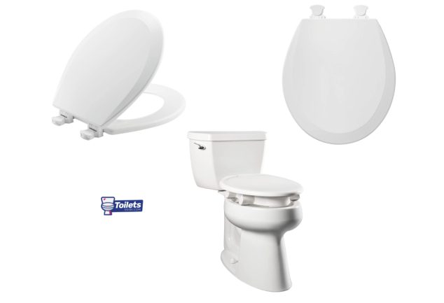 How to Remove a Bemis Toilet Seat