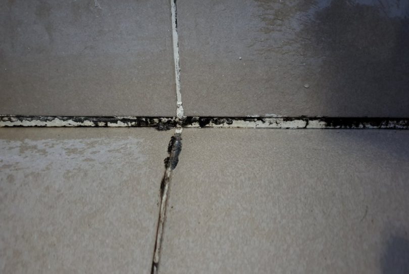 How to Get Rid of Mold in Shower Caulk
