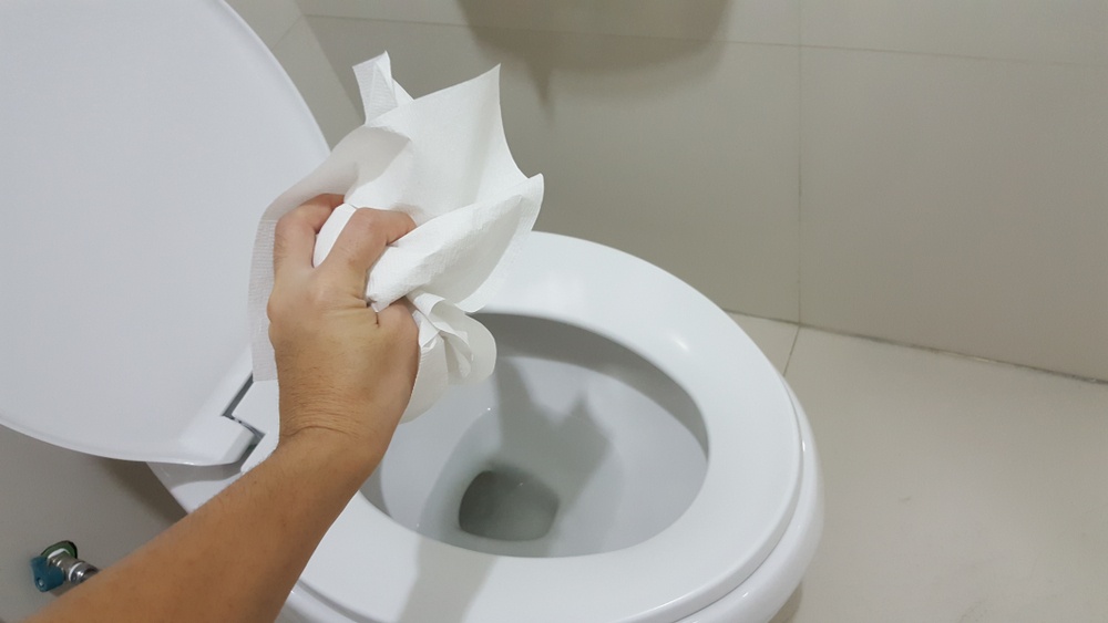 Can You Flush Paper Towels Down the Toilet