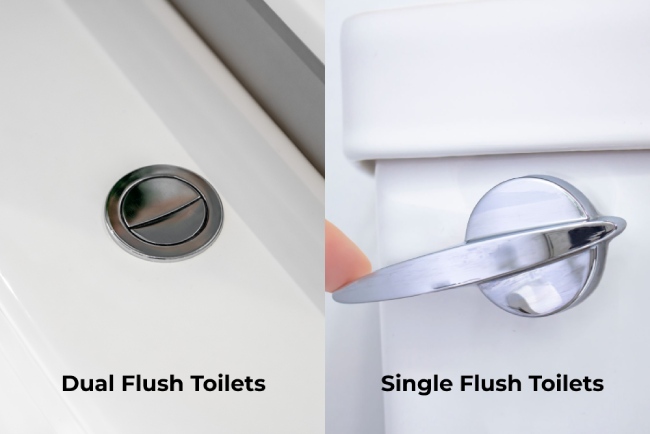 Dual Flush vs Single Flush