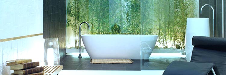 Bathroom Wall Decor Ideas - Look to Nature