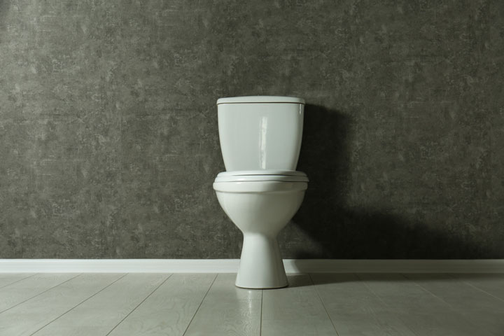 Low Flow Toilet Buying Guide