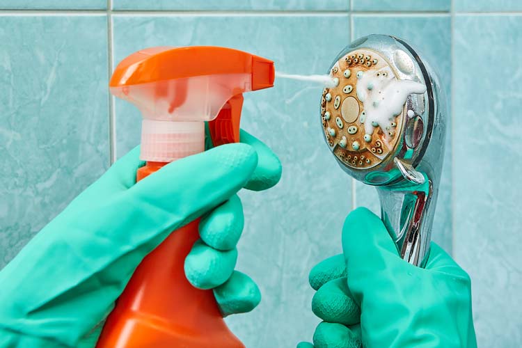 Shower Head Cleaning Tips