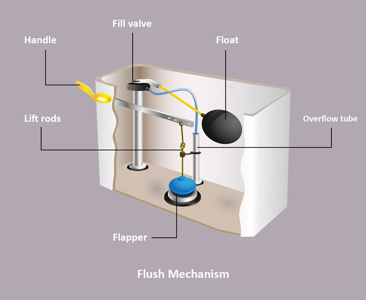 The Flush Mechanism