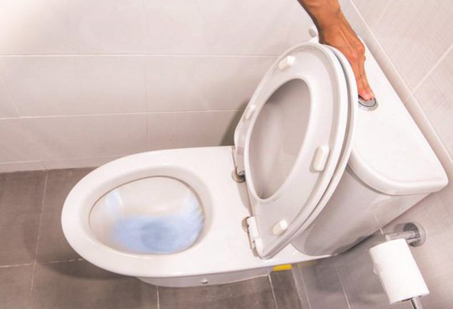 Can You Flush Hair Down the Toilet