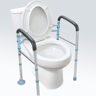 OasisSpace Stand Alone Toilet Safety Rail