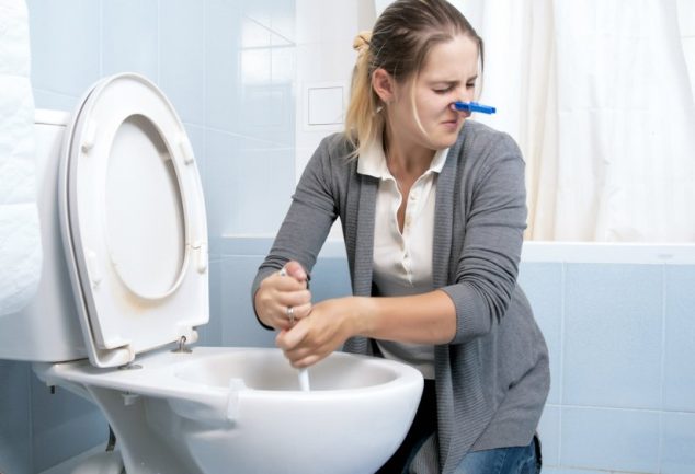 toilet smells like sulfur
